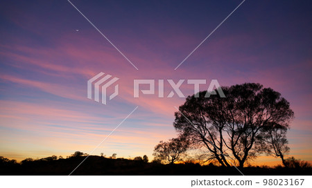 Fantastic sunrise in Australia's hinterland Fantastic sunrise in Australia's hinterland 98023167