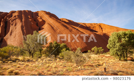 Smooth slopes of Uluru (Ayers Rock) Smooth slopes of Uluru (Ayers Rock) 98023176