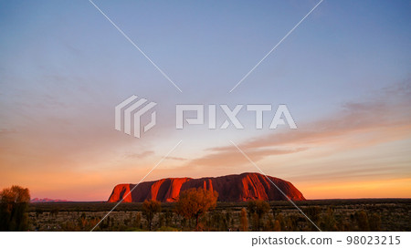 Ayers Rock (Uluru) vividly colored in the morning sun Ayers Rock (Uluru) vividly colored in the morning sun 98023215