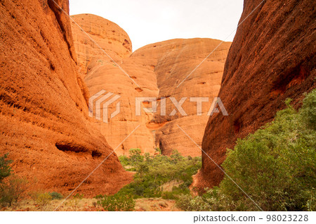 風之谷卡塔丘塔（奧爾加山）的亮點 98023228