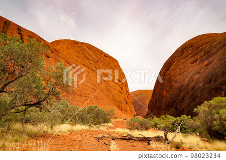 卡塔丘塔(奧爾加山)步道的景色 卡塔丘塔(奧爾加山)步道的景色 98023234