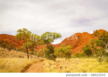 Scenery of walking path of Kata Tjuta (Mount Olga) 98023243