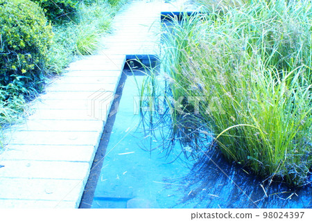 彩色河水石岩石（2023年1月註冊） 98024397