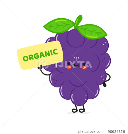 Cute funny grape poster organic character. Vector hand drawn cartoon kawaii character illustration. Isolated white background. Grape poster 98024856