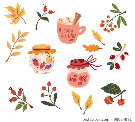 Autumn set. jam, berries, leaves. Seasonal food - Stock Illustration  [98024981] - PIXTA