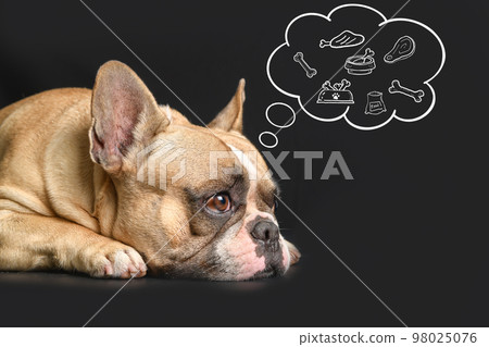 CUte french bulldog sleeping with food in speech bubble on black background, CUte french bulldog sleeping with food in speech bubble on black background, 98025076
