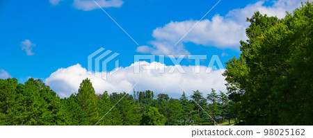 Panorama of the sky, clouds and trees looking up from the teeing area of the golf course with a refreshing blue sky (Kisarazu City, Chiba Prefecture) Panorama of the sky, clouds and trees looking up from the teeing area of the golf course with a refreshing blue sky (Kisarazu City, Chiba Prefecture) 98025162