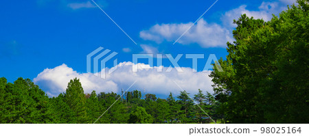 Panorama of the sky, clouds and trees looking up from the teeing area of the golf course with a refreshing blue sky (Kisarazu City, Chiba Prefecture) Panorama of the sky, clouds and trees looking up from the teeing area of the golf course with a refreshing blue sky (Kisarazu City, Chiba Prefecture) 98025164
