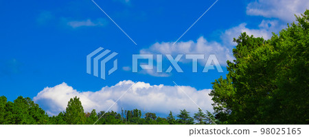 Panorama of the sky, clouds and trees looking up from the teeing area of the golf course with a refreshing blue sky (Kisarazu City, Chiba Prefecture) Panorama of the sky, clouds and trees looking up from the teeing area of the golf course with a refreshing blue sky (Kisarazu City, Chiba Prefecture) 98025165