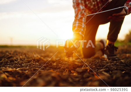 Hand of expert farmer collect soil and checking soil health before growth a seed of vegetable. Hand of expert farmer collect soil and checking soil health before growth a seed of vegetable. 98025391