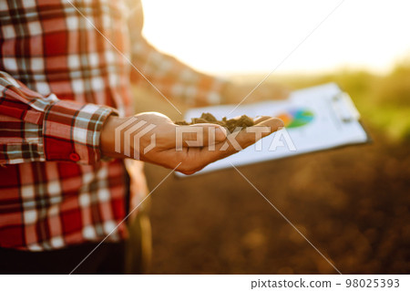 Hand of expert farmer collect soil and checking soil health before growth a seed of vegetable. 98025393
