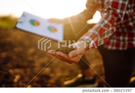 Hand of expert farmer collect soil and checking soil health before growth a seed of vegetable. 98025397