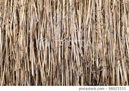 The background is made of dry straw. Texture, roof of the house. 98025531