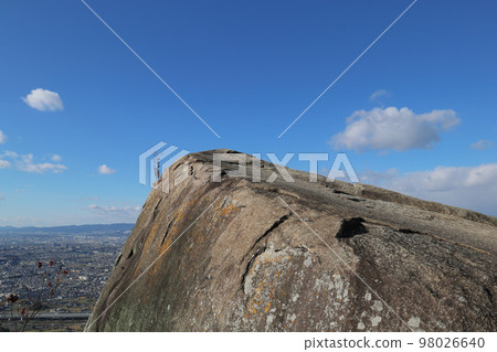 Mt. Mt. 98026640