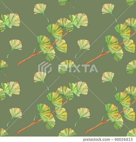 Seamless pattern ginkgo biloba green and yellow leaves, print botany foliage. Watercolor branches. Leaves clip art. Seamless pattern ginkgo biloba green and yellow leaves, print botany foliage. Watercolor branches. Leaves clip art. 98026813