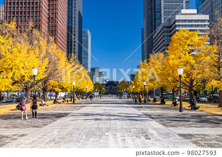 《Tokyo》Autumn Tokyo Marunouchi・Colored Ginkgo Ginkgo Street 《Tokyo》Autumn Tokyo Marunouchi・Colored Ginkgo Ginkgo Street 98027593