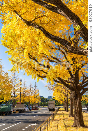 《Tokyo》Autumn Tokyo Marunouchi・Colored Ginkgo Ginkgo Street 《Tokyo》Autumn Tokyo Marunouchi・Colored Ginkgo Ginkgo Street 98027619