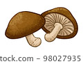 Shitake插圖 98027935