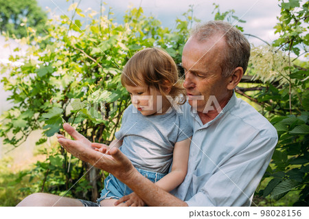 A little girl hugs her grandfather on a walk in the summer outdoors. A little girl hugs her grandfather on a walk in the summer outdoors. 98028156