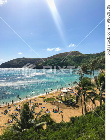 夏威夷恐龍灣景觀 98029308