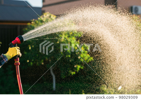 Close-up hands holding garden water hose wearing colorful wellies watering garden 98029309