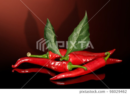 bitter red pepper on black background bitter red pepper on black background 98029462