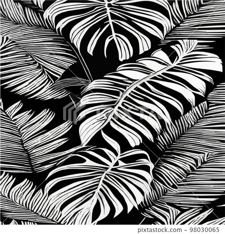 Download Black And White Palm Tree And Tropical Leaves Wallpaper   Wallpaperscom