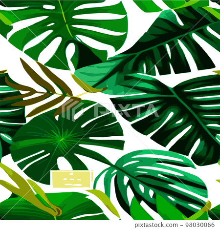 green monstera pattern white background. exotic pattern with tropical leaves. Vector illustration. monstera leaf pattern. Tropical palm leaves. Exotic design fabric, textile print, wrapping paper green monstera pattern white background. exotic pattern with tropical leaves. Vector illustration. monstera leaf pattern. Tropical palm leaves. Exotic design fabric, textile print, wrapping paper 98030066
