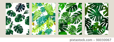 green monstera as a pattern on a white background. exotic pattern with tropical leaves. Vector illustration. set of square posters green monstera as a pattern on a white background. exotic pattern with tropical leaves. Vector illustration. set of square posters 98030067