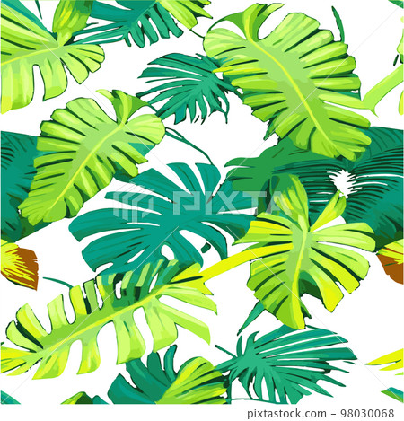green monstera pattern white background. exotic pattern with tropical leaves. Vector illustration. monstera leaf pattern. Tropical palm leaves. Exotic design fabric, textile print, wrapping paper green monstera pattern white background. exotic pattern with tropical leaves. Vector illustration. monstera leaf pattern. Tropical palm leaves. Exotic design fabric, textile print, wrapping paper 98030068