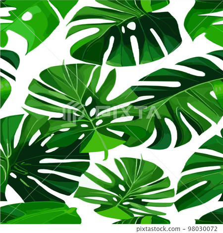 green monstera pattern white background. exotic pattern with tropical leaves. Vector illustration. monstera leaf pattern. Tropical palm leaves. Exotic design fabric, textile print, wrapping paper 98030072