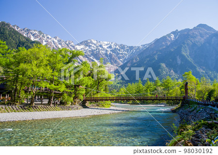 絕妙的景色!鮮綠的上高地【清晨的河童橋附近】 絕妙的景色!鮮綠的上高地【清晨的河童橋附近】 98030192