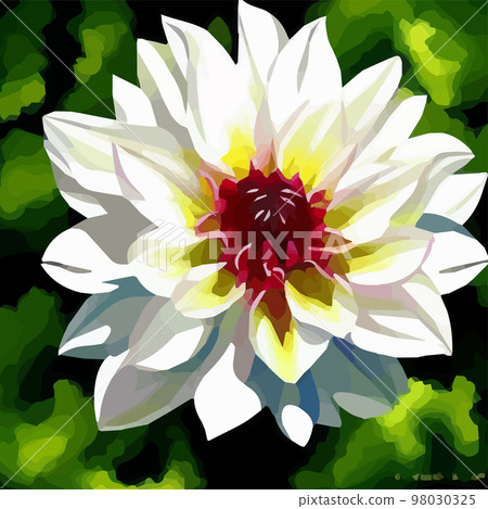dahlia. Close-up. Spring flowers. , dahlia bud close-up. Multicolored image. Decor. Element. Vector illustration. Realistic close-up view, detailed petals dahlia. Close-up. Spring flowers. , dahlia bud close-up. Multicolored image. Decor. Element. Vector illustration. Realistic close-up view, detailed petals 98030325
