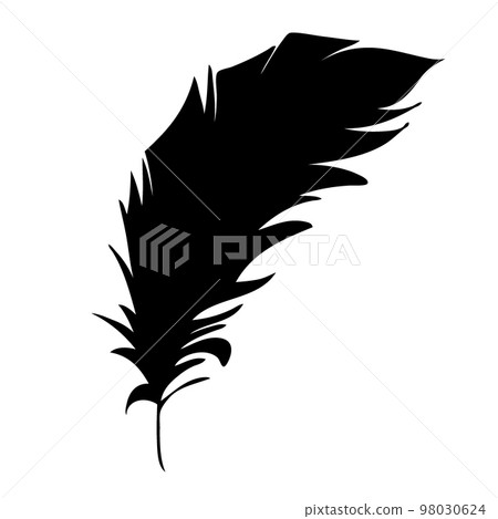 Feather of birds. Black feather silhouette for logo vector set Feather of birds. Black feather silhouette for logo vector set 98030624
