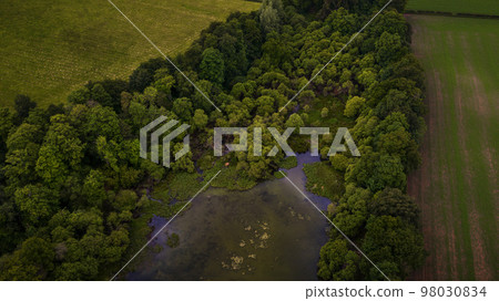 Swamp and trees on Scottish Highlands. 98030834