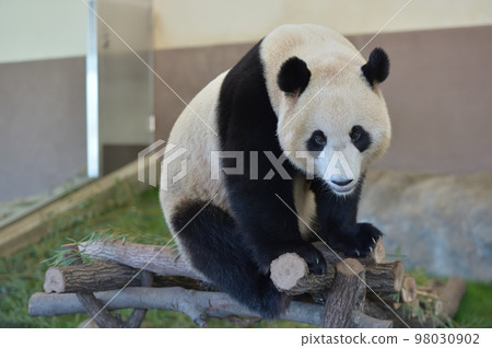 Yuuhama showing affection towards the gallery 98030902