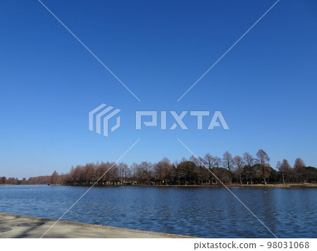 park in january 98031068