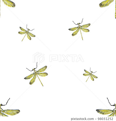 Dragonfly yellow pattern large a watercolor sketch Dragonfly yellow pattern large a watercolor sketch 98031252