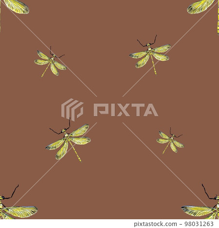 Dragonfly yellow pattern brown a watercolor sketch Dragonfly yellow pattern brown a watercolor sketch 98031263