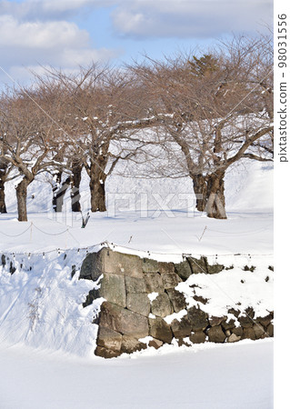 冬季拍攝北海道函館市五棱郭公園的雪景 冬季拍攝北海道函館市五棱郭公園的雪景 98031556