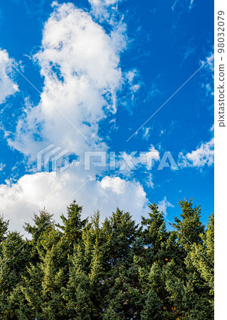 百合原公園的風景 98032079