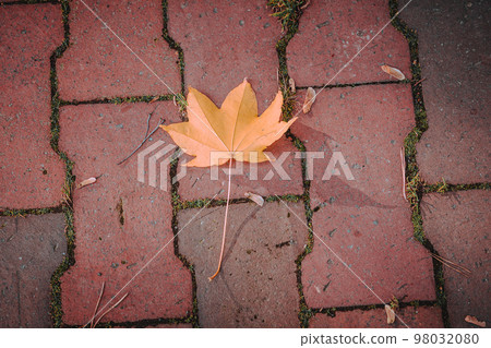 百合原公園的風景 98032080