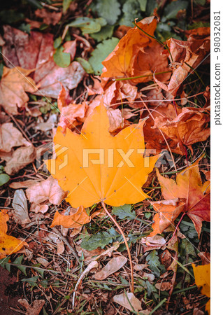 百合原公園的風景 98032081