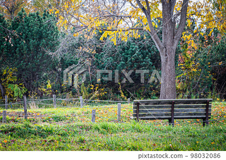Scenery of Yurigahara Park Scenery of Yurigahara Park 98032086