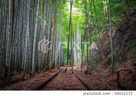 Former National Railways Kurayoshi Line Taikyuji Station Ruins Former National Railways Kurayoshi Line Taikyuji Station Ruins 98032255