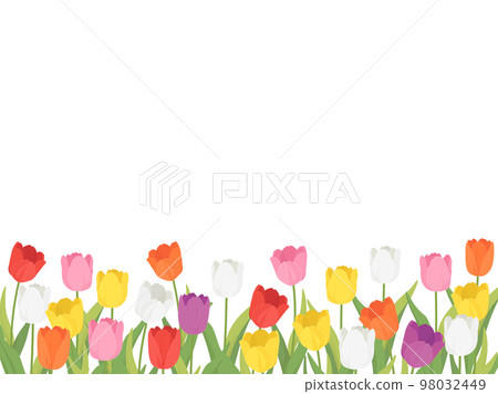 鬱金香田_框架 98032449