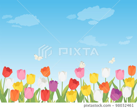 鬱金香花田景觀_背景框 98032461