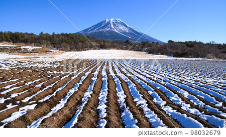 富士金的鄉村和富士山的絕景,冬天的風景 富士金的鄉村和富士山的絕景,冬天的風景 98032679