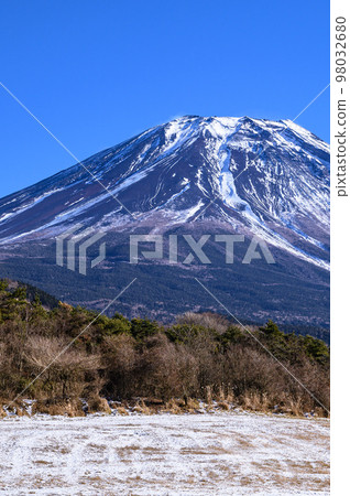 富士金的鄉村和富士山的絕景,冬天的風景 富士金的鄉村和富士山的絕景,冬天的風景 98032680