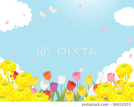Spring scenery of rape blossoms, tulips and cherry blossom petals_background frame 98032855